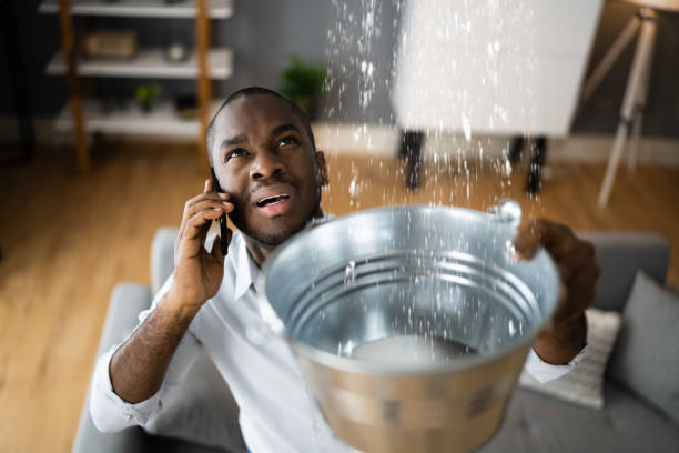 Best Local water damage restoration  in Lisle, IL