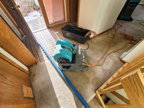 Best Water damage restoration experts  in Lisle, IL