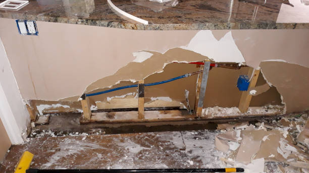 Best Water damage cleanup near me  in Lisle, IL