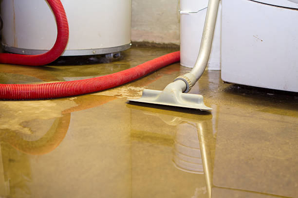 Best Sewage cleanup and water damage restoration  in Lisle, IL
