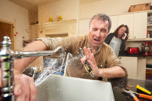 Best Water damage restoration specialists  in Lisle, IL